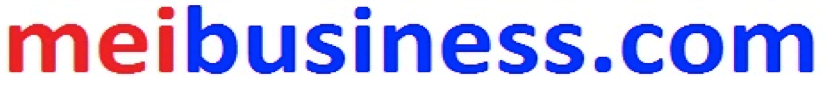 meibusiness logo 